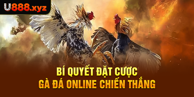 Bí quyết đặt cược gà đá online chiến thắng