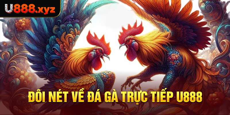 50. Đôi nét về đá gà trực tiếp U888