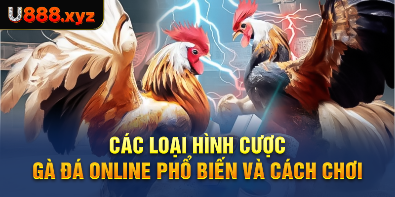 Các loại hình cược gà đá online phổ biến và cách chơi